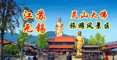 两美女用大假阴茎肏屄玩江苏无锡灵山大佛旅游风景区