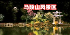 粗大鸡巴插入骚穴视频