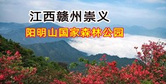 巨大黑屌操逼视频